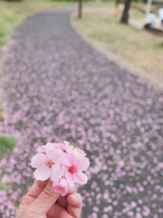 近くの公園にて