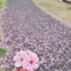 近くの公園にて