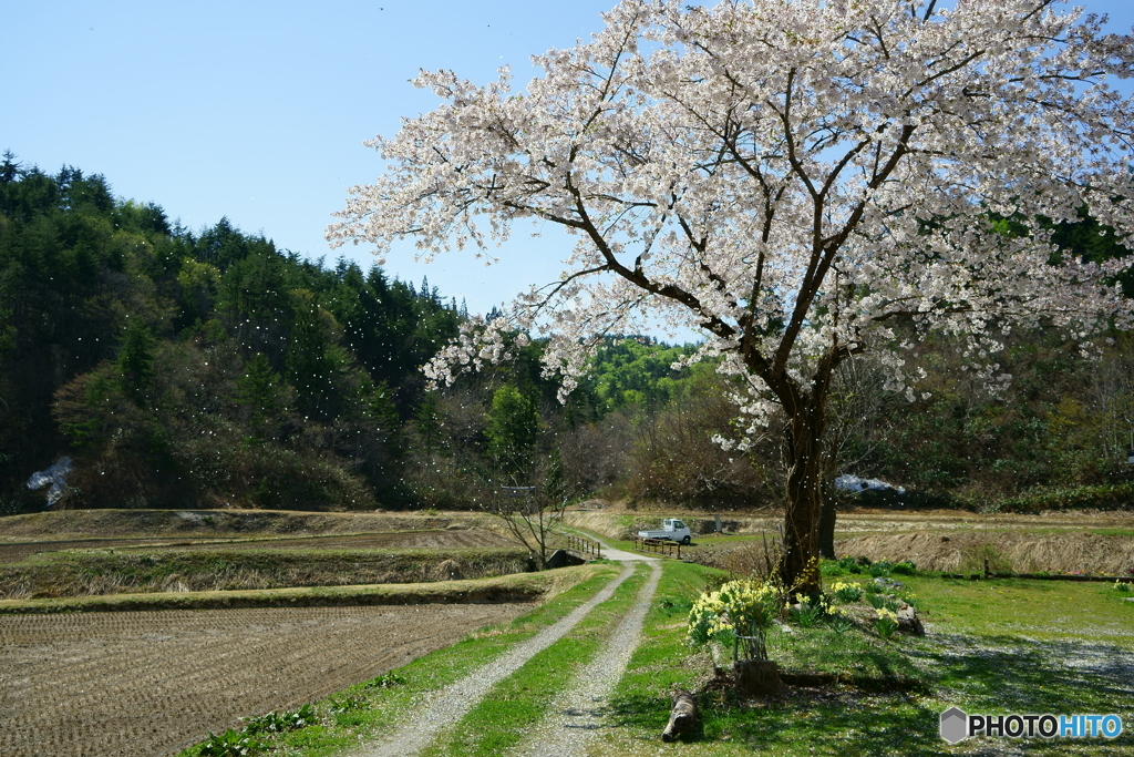 足早に過ぎて