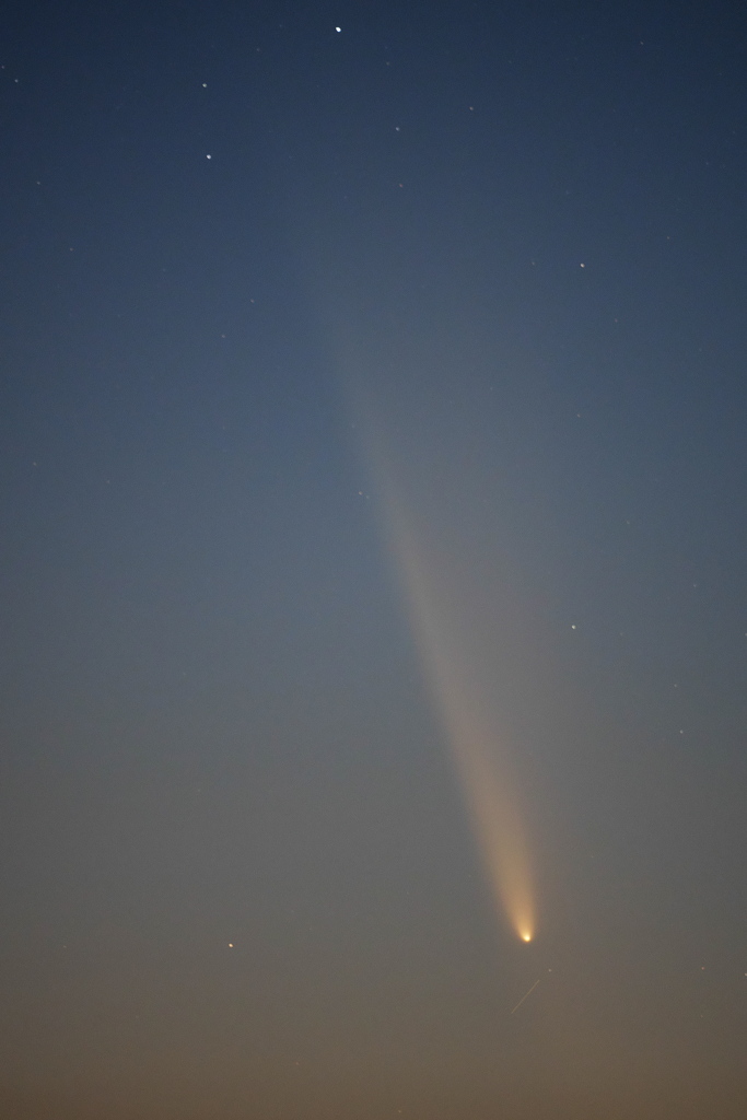 紫金山・アトラス彗星（クロップ）