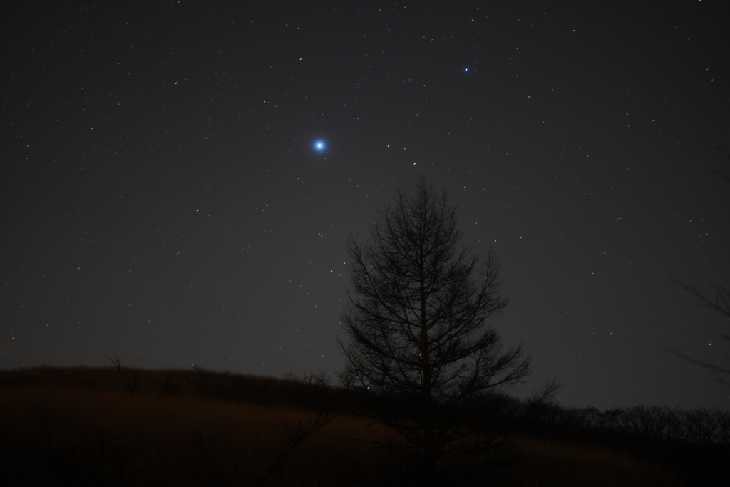 シリウス