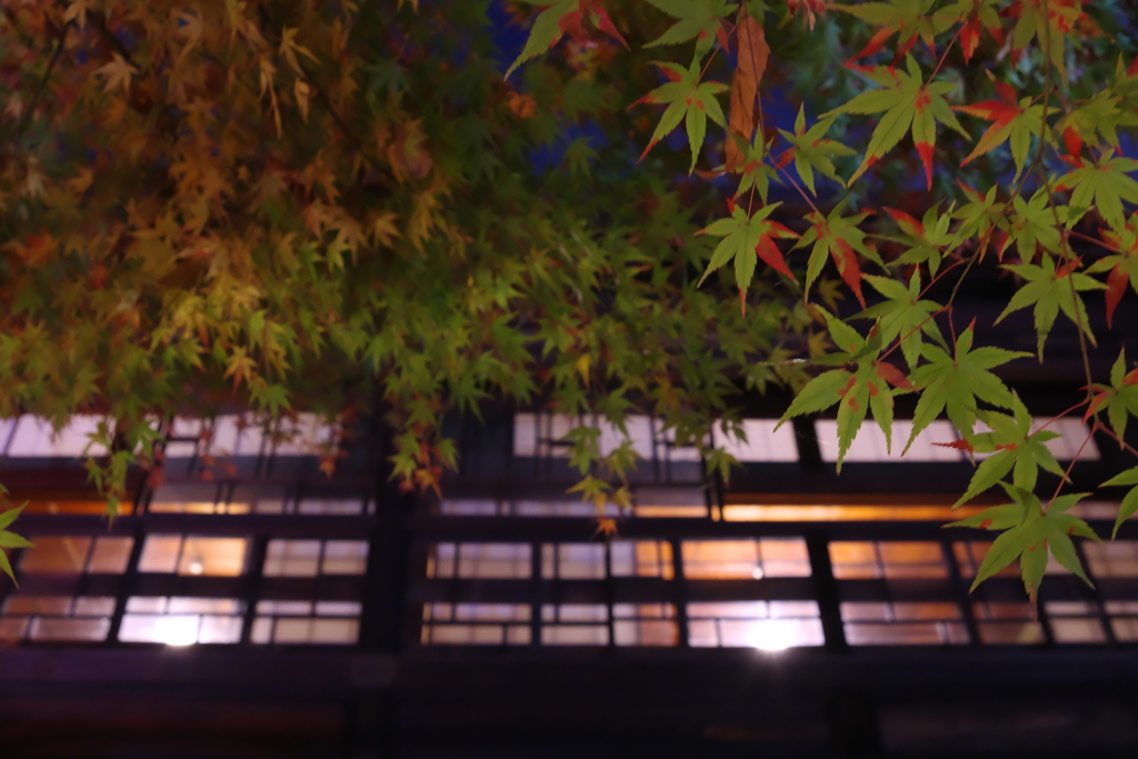 夜の窓辺