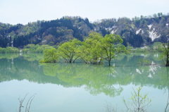 湖畔にて