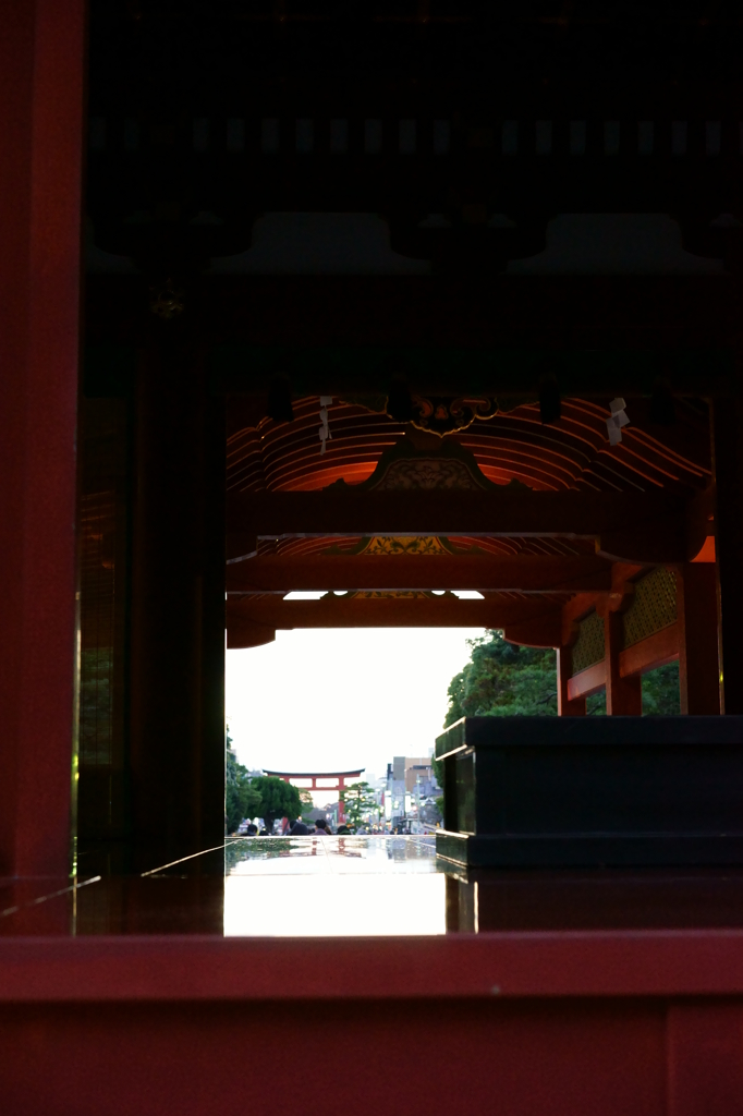 晩秋の鎌倉 鶴岡八幡宮