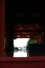 晩秋の鎌倉 鶴岡八幡宮