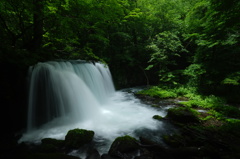 奥入瀬　銚子大滝
