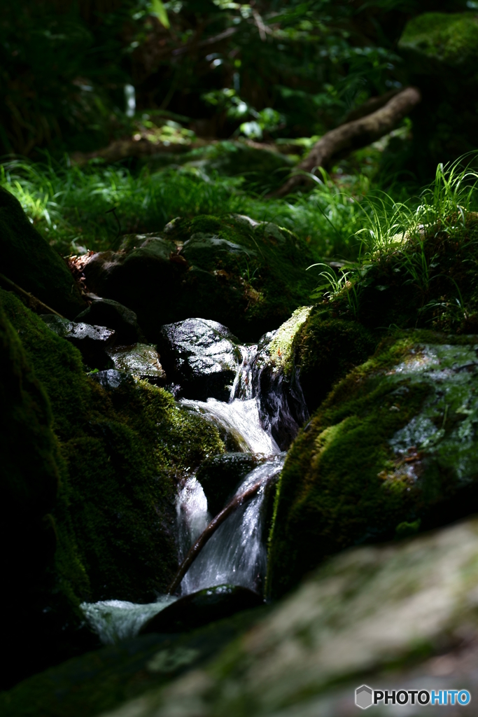 山のしずくを集めて