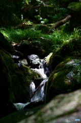 山のしずくを集めて