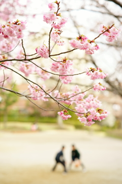 春季リーグ開幕