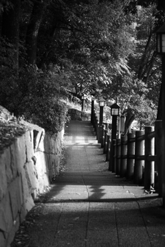 昼下がりの散歩道
