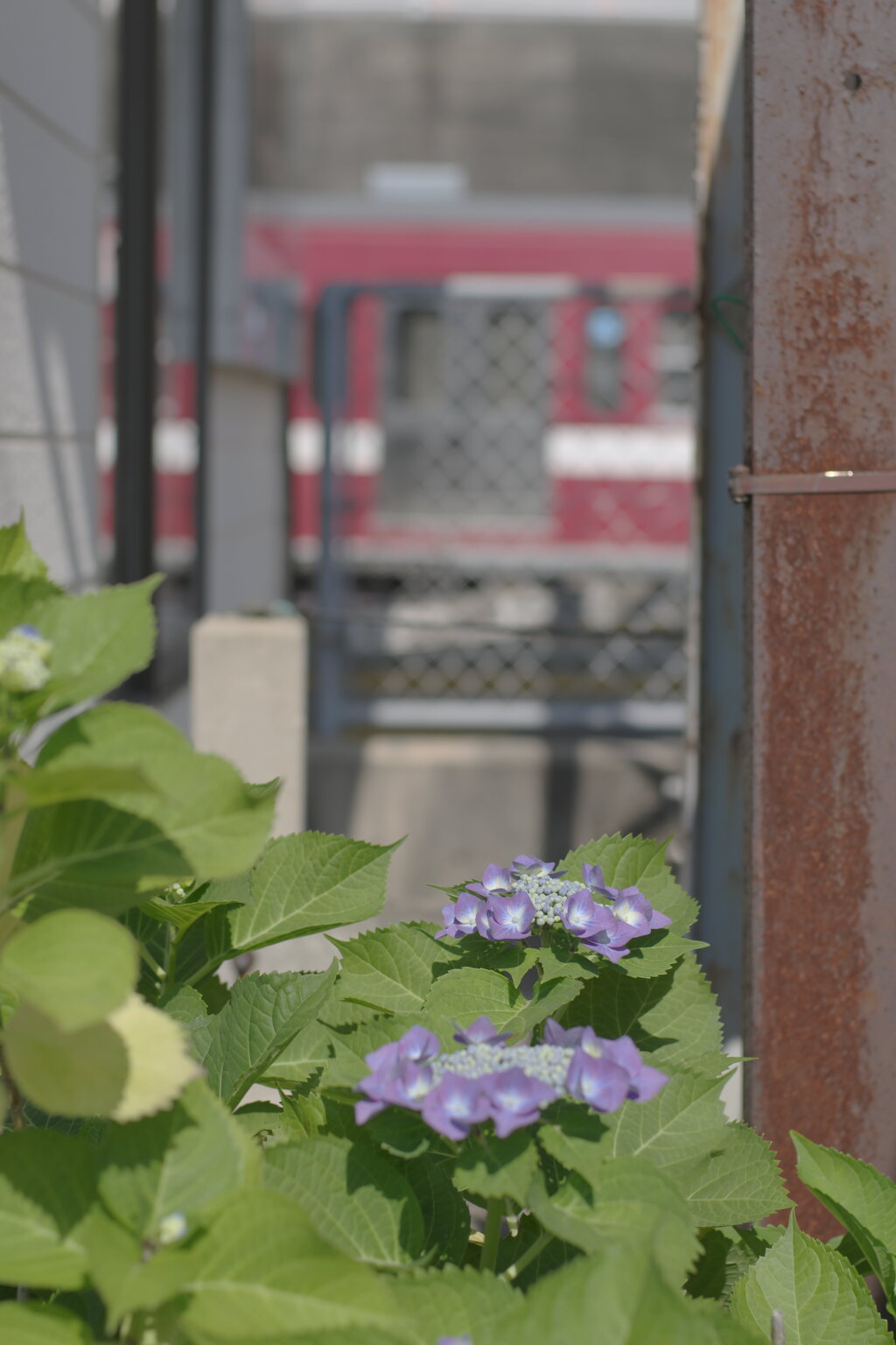流山駅