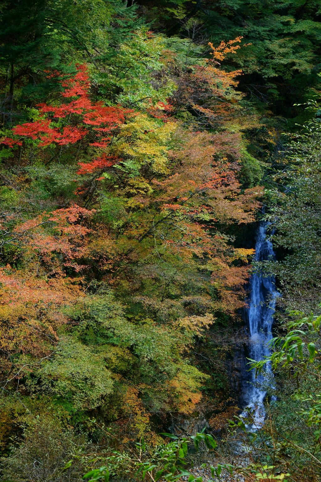 紅葉の西沢渓谷