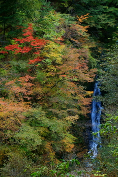 紅葉の西沢渓谷