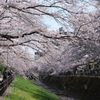 乞田川1