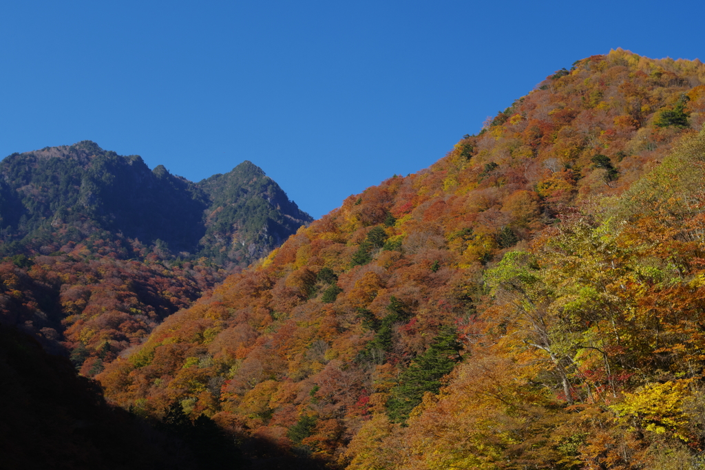 黄葉ハイク