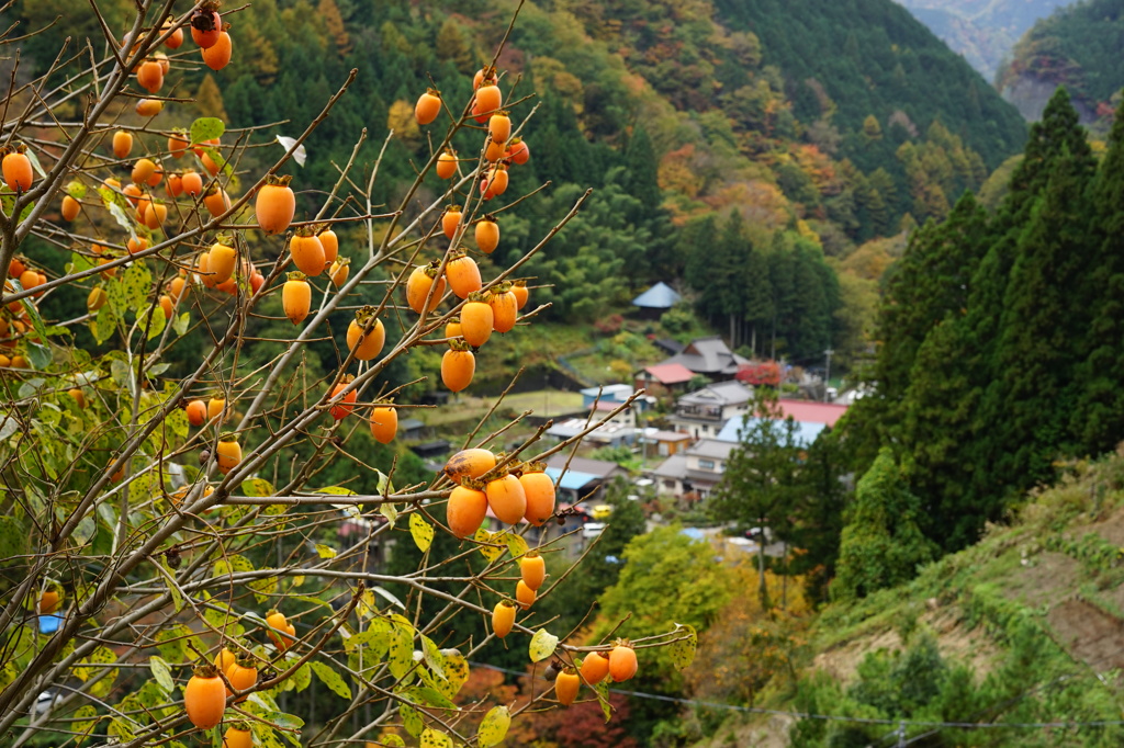 山あいの村に秋の訪れ