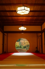 晩秋の鎌倉 明月院