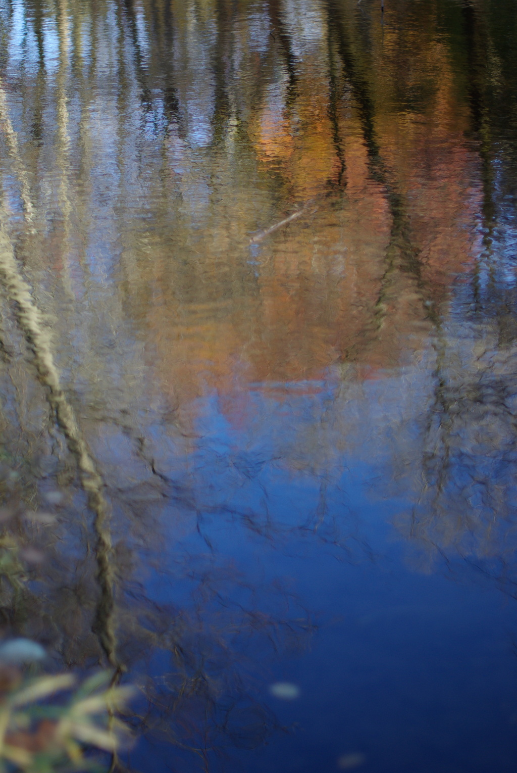 比較４　smc PENTAX FA 50mm F1.4