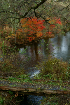 秋雨の切れ間に