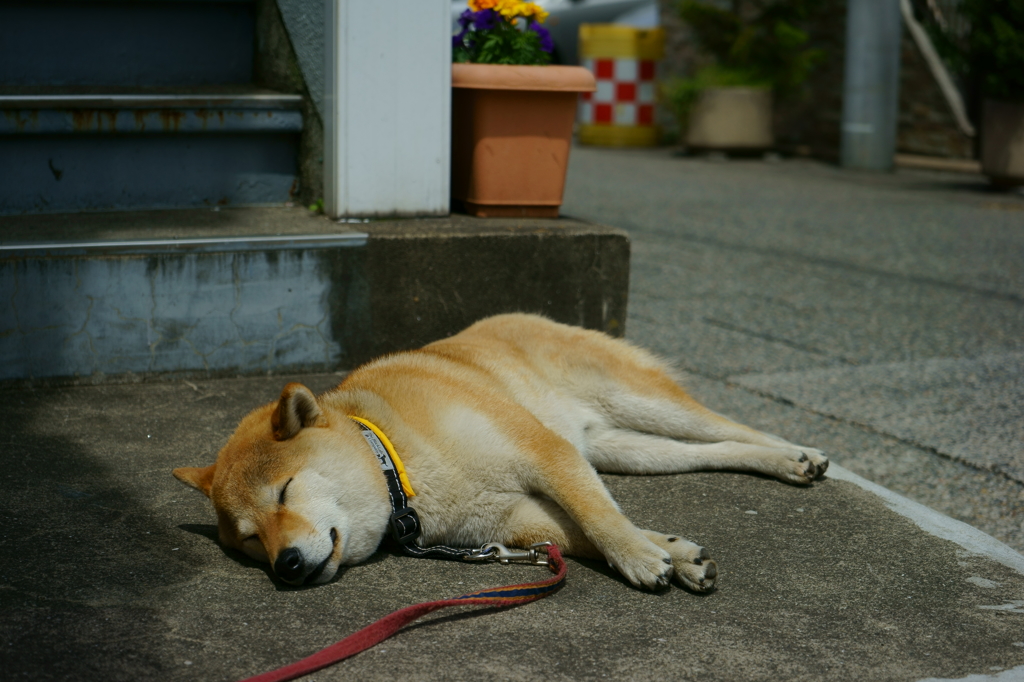 起こさないでね