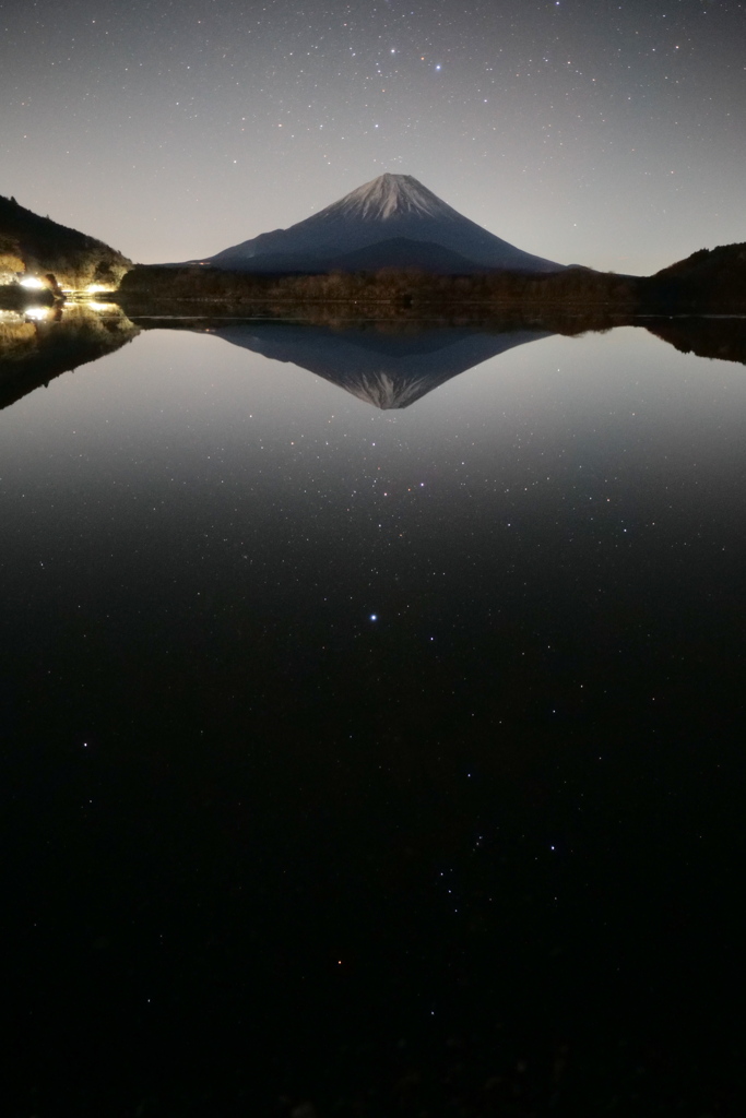 水面の星たち