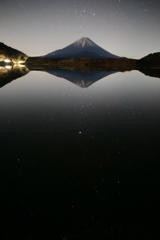 水面の星たち