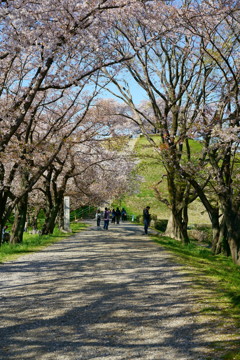 石田堤