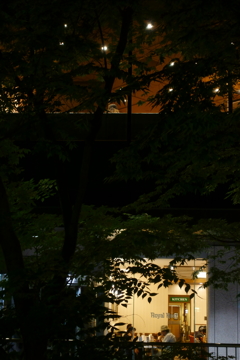 週末の夜