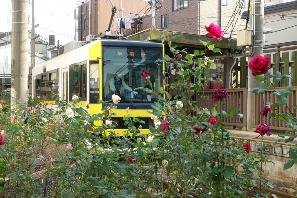 東京さくらトラム