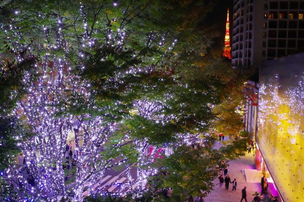 東京タワー百景