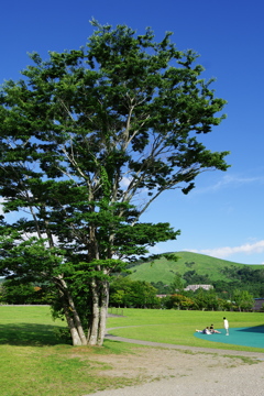 夏天