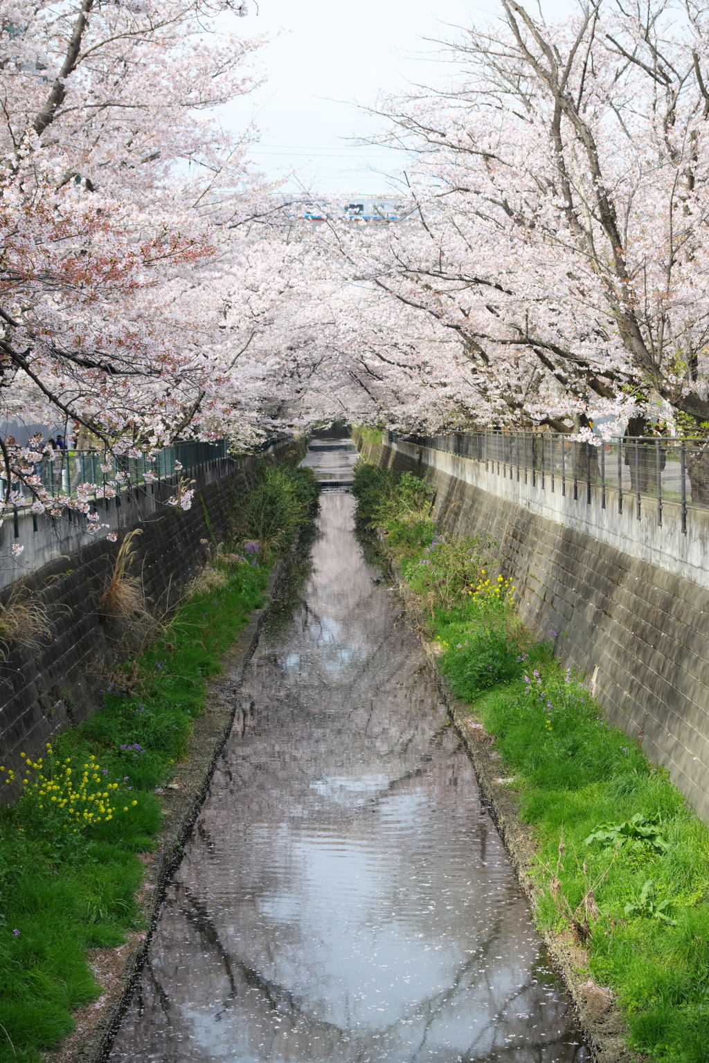 川面