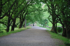 歴史の名残を探して