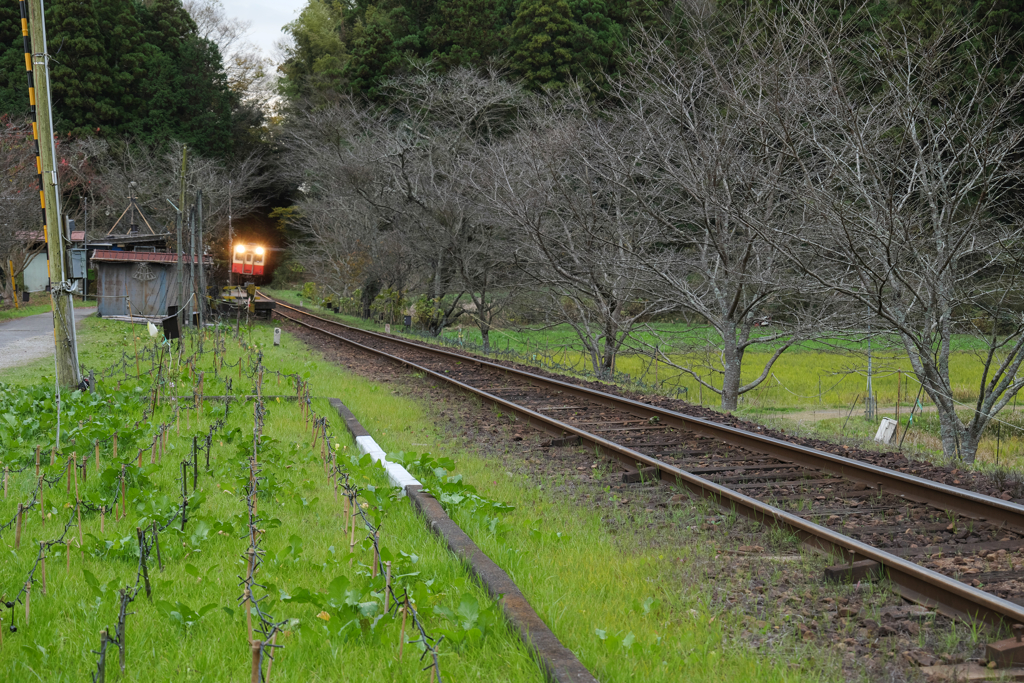小湊鉄道