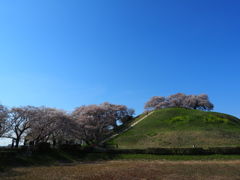 撮り比べその２