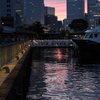 港の夕景