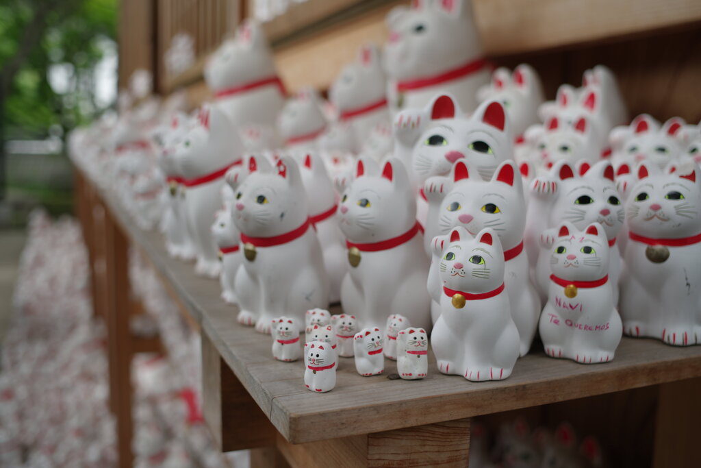 招き猫、ネコ、子猫…