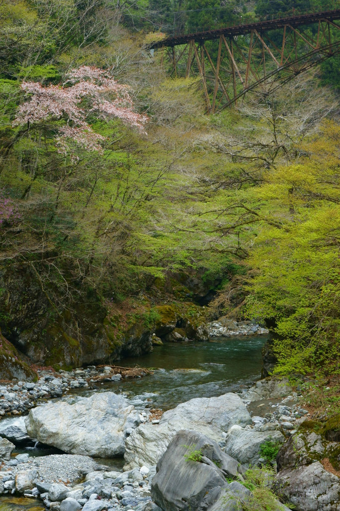 芽吹きの季節