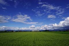 夏色