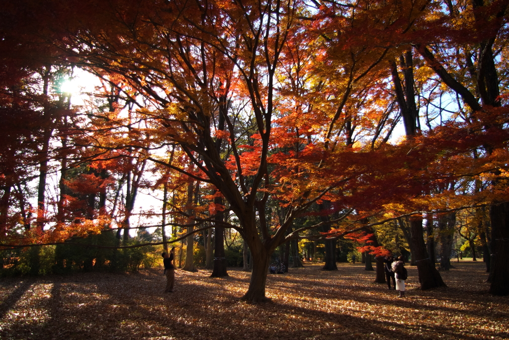 紅い傘の下で