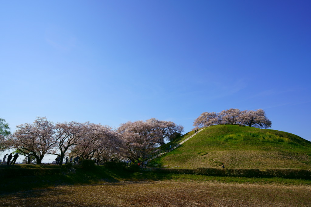 撮り比べその１