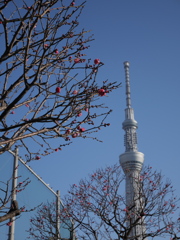 春の気配