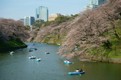 千鳥ヶ淵