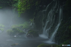 太古の水湧き出づる地