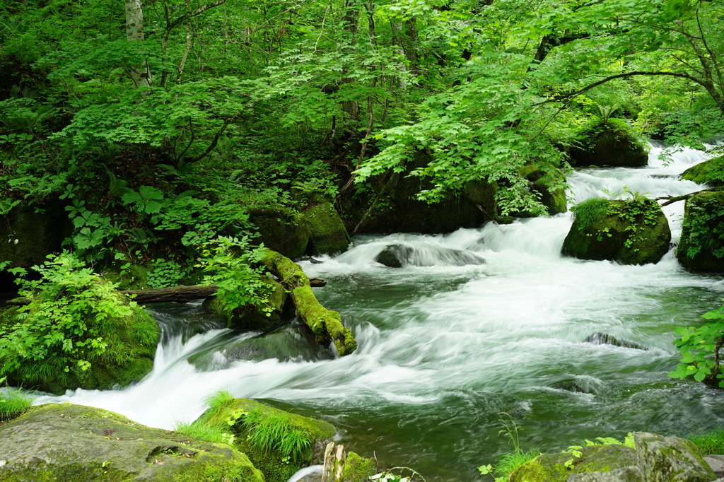 奥入瀬　阿修羅の流れ