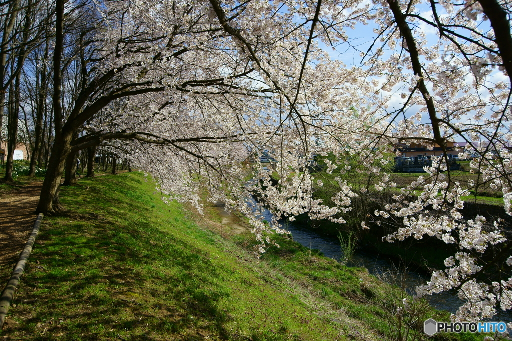 春の小川