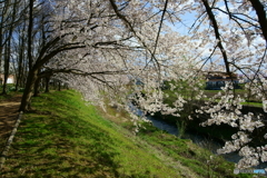 春の小川