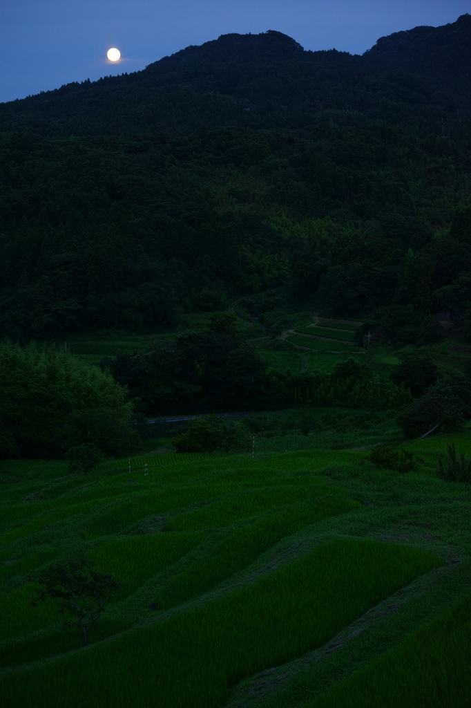 棚田の夕べ