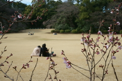 春はそこまで