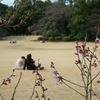 春はそこまで